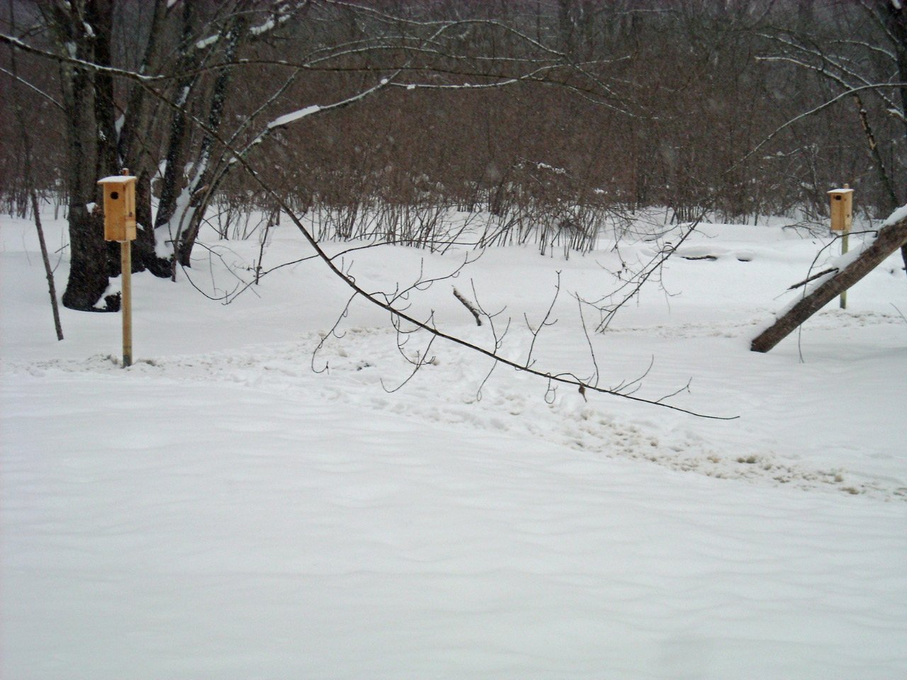 2-wood-duck-houses-2-25-11-wisconsin-waterfowl-association