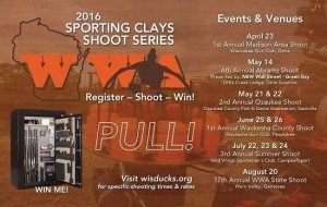 2016 Shoot Series Image