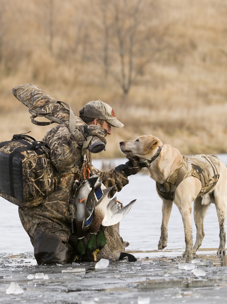 Who is WWA? Wisconsin Waterfowl Association