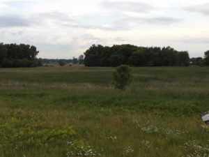 Looking SW over the marsh