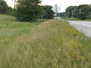 North view Hwy 33 and Edgewater Park Rd