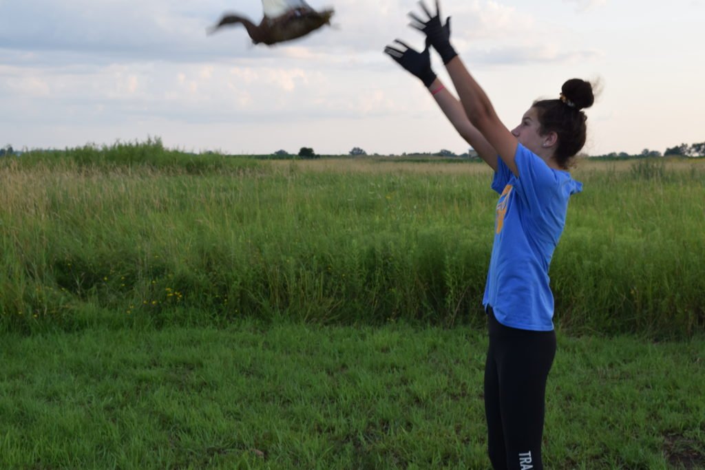 Duck Banding Tradition - Wisconsin Waterfowl Association