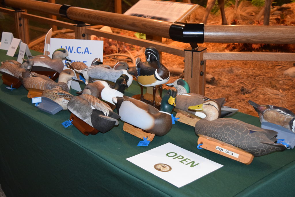 DSC Wisconsin Waterfowl Association