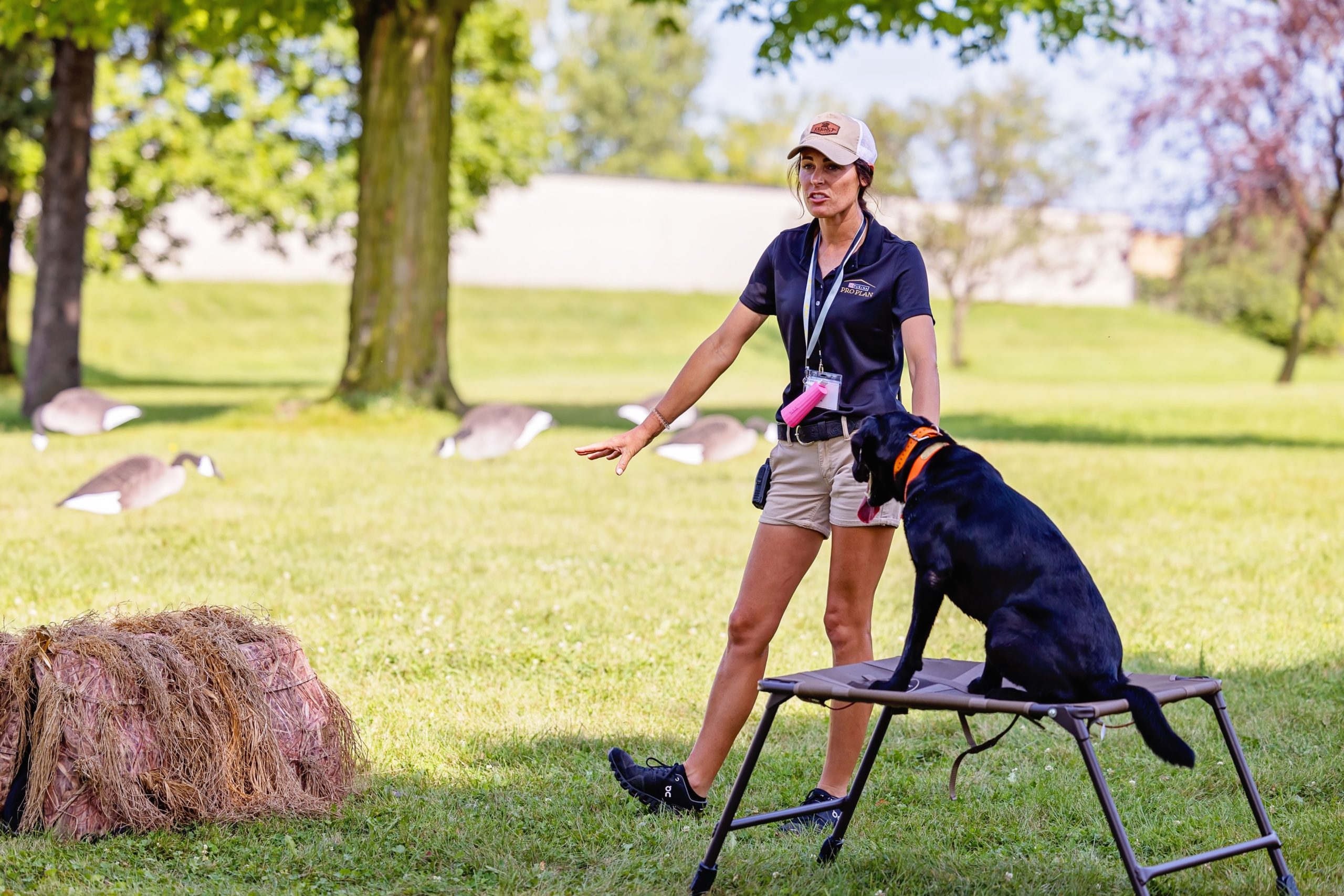 Full Throttle Kennel’s Jessie Richards with some tips on handling your retriever