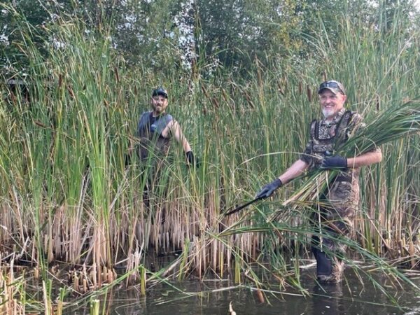 Abrams Blind Brushing 2022 Season - Wisconsin Waterfowl Association