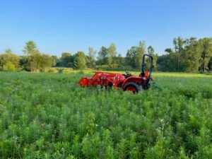 Mowing Abrams Property