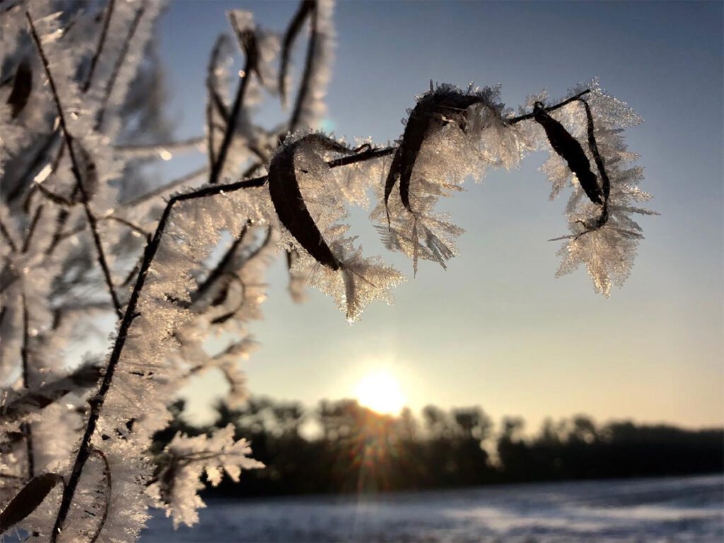 Frost morning in Waushara County