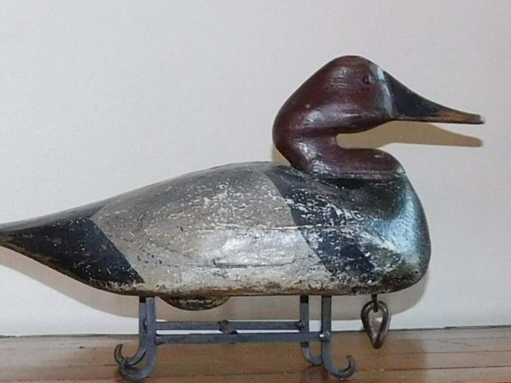 A Joe Roesling Canvasback show if its signature “snaky” head