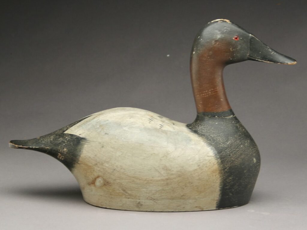 Joseph Sieger Canvasback-2