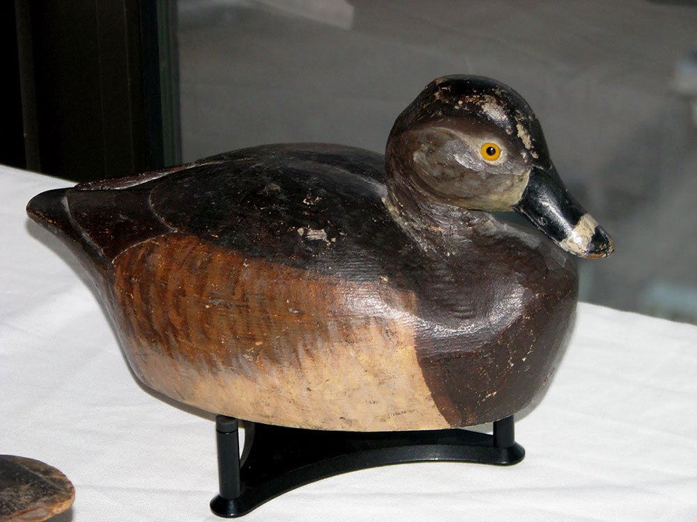 Warren Dettman ring-necked hen