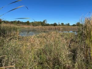 The view from Blind #3 After