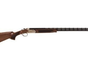 Pointer Acrius Raffle Ticket